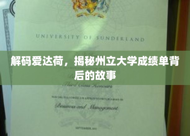 爱达荷州立大学成绩单，揭秘背后的璀璨故事