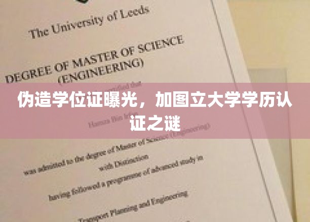 伪造学历风波，揭开加图立大学认证的神秘面纱