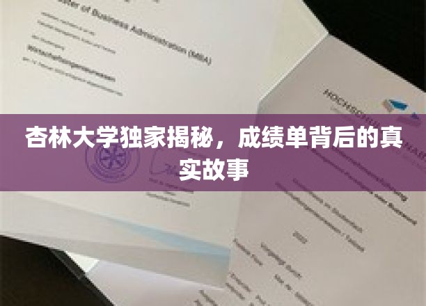 揭开杏林大学成绩单背后的秘密世界