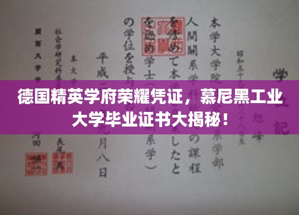 德国精英学府荣耀凭证，一探慕尼黑工业大学毕业证书的奥秘！