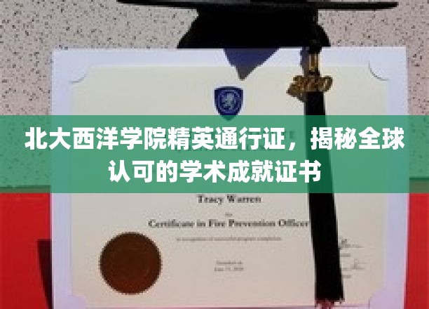 北大西洋学院精英护照，解锁国际认可的学术巅峰成就