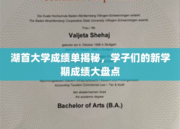 湖首大学学子新学期成绩亮点揭晓，揭秘成绩单背后的故事