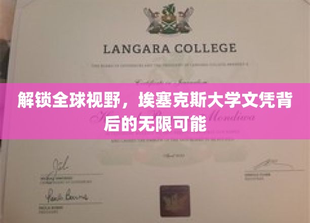 跨越国界，埃塞克斯大学学位开启无限国际机遇之旅