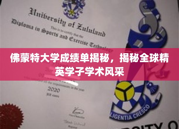 佛蒙特大学学霸档案，揭秘国际精英学子卓越学术成就