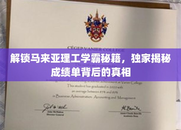 揭秘马来亚理工学霸养成记，揭秘成绩单背后的高效学习之道