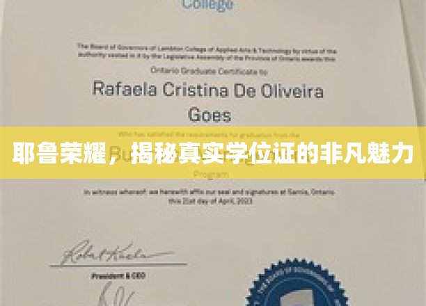 耶鲁荣耀背后的学位证，探寻非凡魅力的秘密