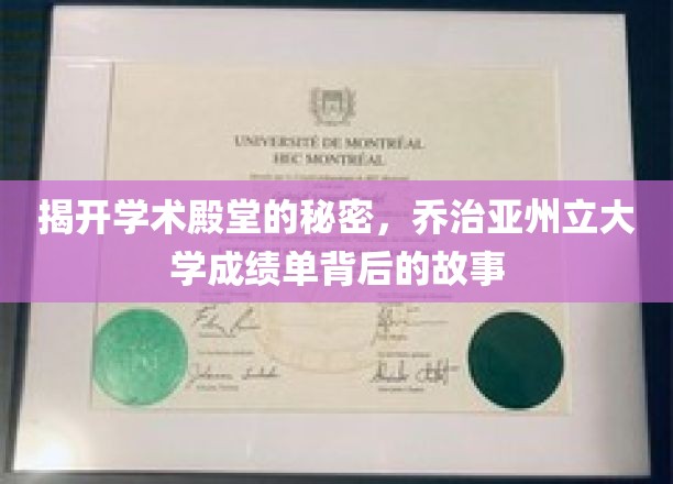 探寻乔治亚州立大学成绩单背后的学术传奇