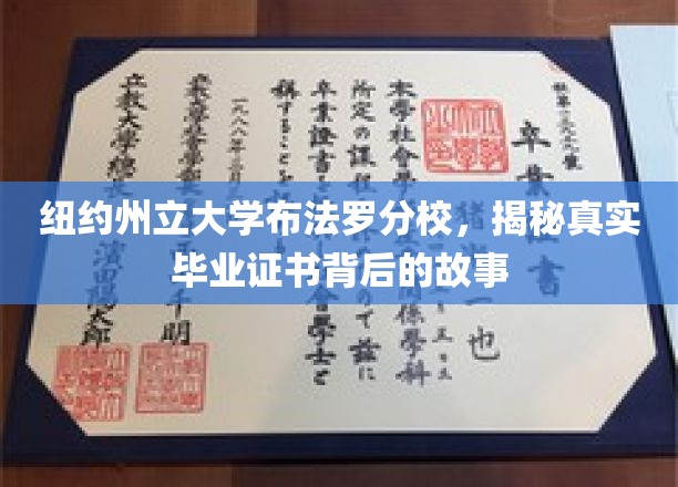 纽约州立大学布法罗分校，毕业证书背后的不为人知传奇
