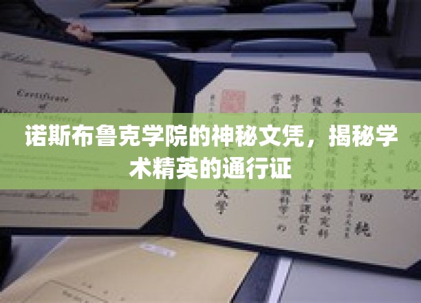 揭开诺斯布鲁克学院神秘文凭背后的学术精英之路