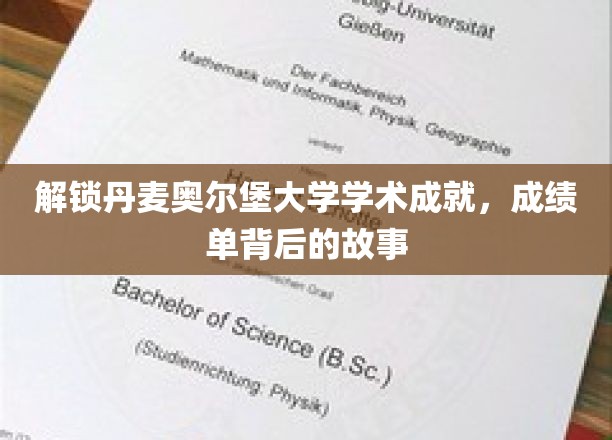 解锁丹麦奥尔堡大学学术成就，成绩单背后的故事