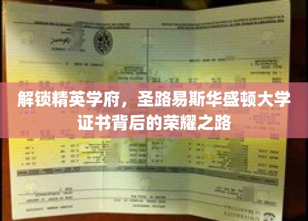 探秘圣路易斯华盛顿大学，证书荣耀背后的精英成长轨迹