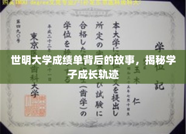 揭开世明大学成绩单面纱，探索学子成长轨迹的秘密
