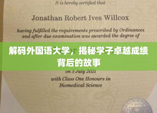 解码外国语大学，探寻学子卓越成绩背后的故事