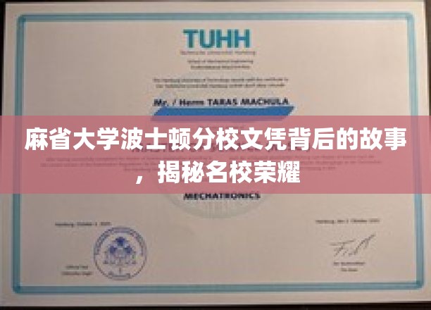 麻省大学波士顿分校荣耀背后，一纸文凭的传奇历程