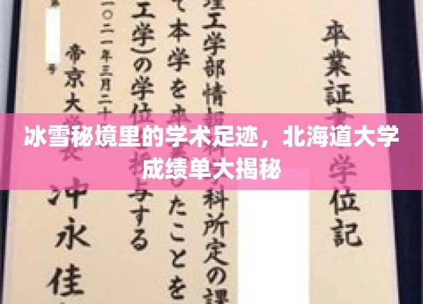探秘雪域学苑，北海道大学学术之旅成绩单曝光