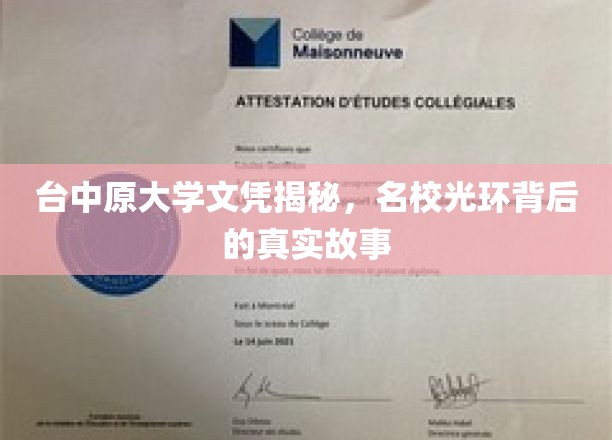探寻台中原大学文凭背后，名校光环下的真实面纱