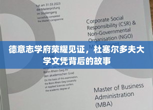 德意志学术殿堂的荣耀足迹，揭秘杜塞尔多夫大学文凭背后的传奇故事