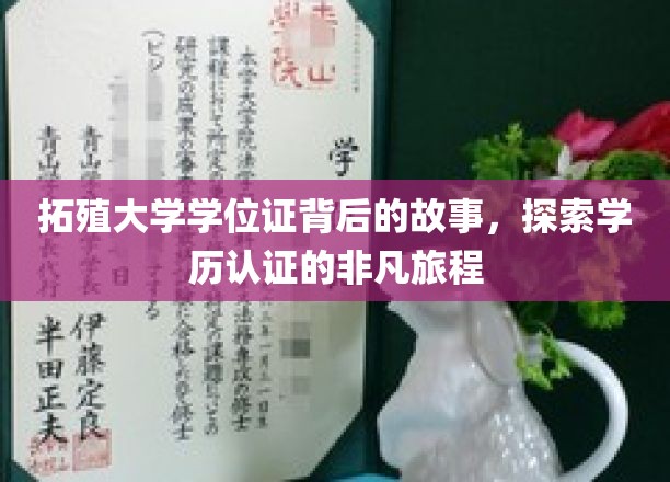 拓殖大学学位证背后的传奇，一场学历认证的非凡探寻之旅