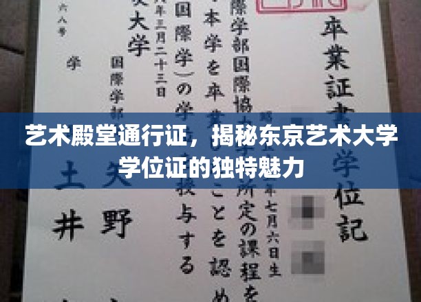 东京艺大通行证，探寻学位证书的艺术价值与非凡魅力
