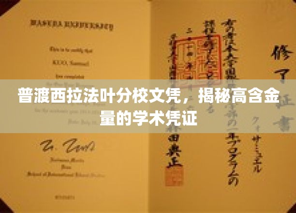 普渡西拉法叶分校文凭，揭秘高含金量的学术凭证