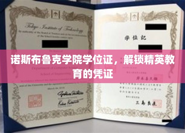 诺斯布鲁克精英护照，学位证背后的教育力量