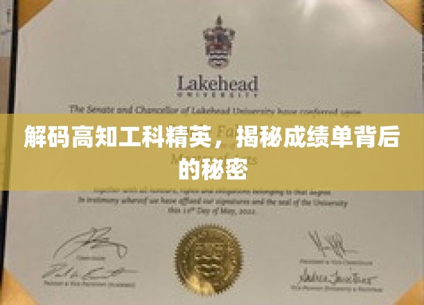 解锁高知工程师的卓越之路，成绩单背后的非凡智慧