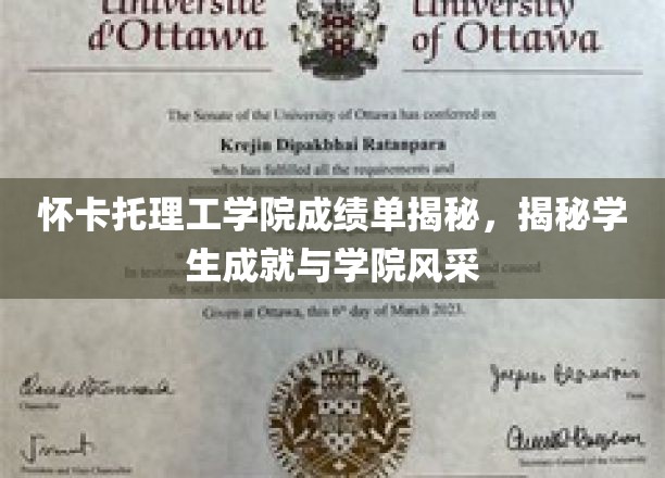 探寻怀卡托理工学院背后的卓越成就与风采展示