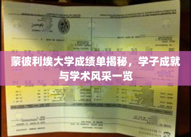 蒙彼利埃精英榜，一窥法国名校学子卓越成就与学术魅力