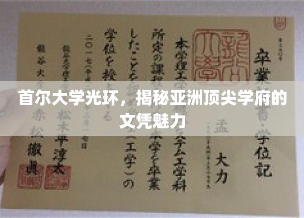 亚洲明珠，首尔大学文凭背后的非凡魅力揭秘
