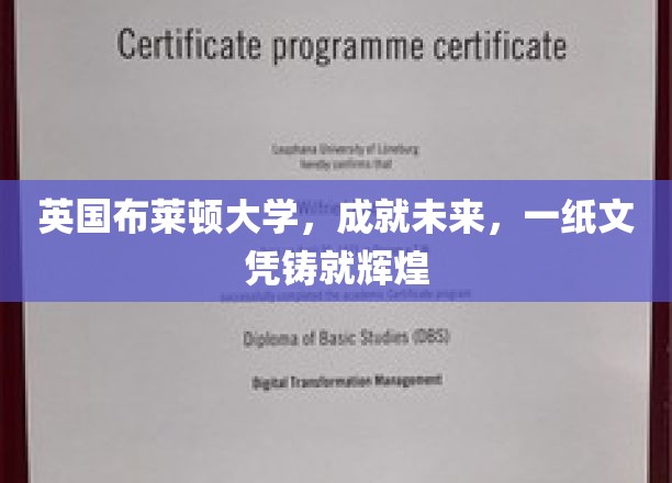 布莱顿大学，学历成就辉煌未来之路