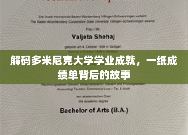 多米尼克大学荣耀背后，揭秘一纸成绩单的奋斗轨迹