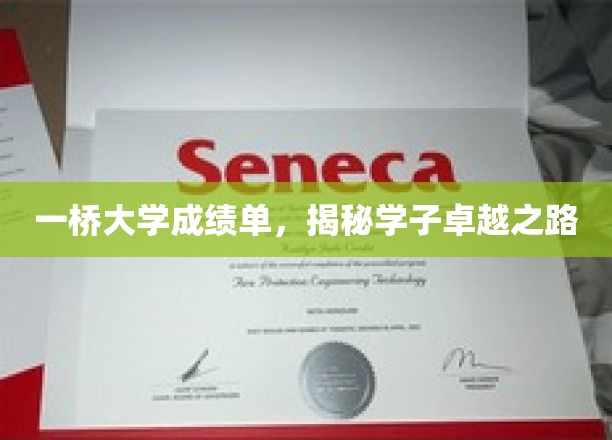解码一桥英才，揭秘学子卓越成就背后的桥梁之路