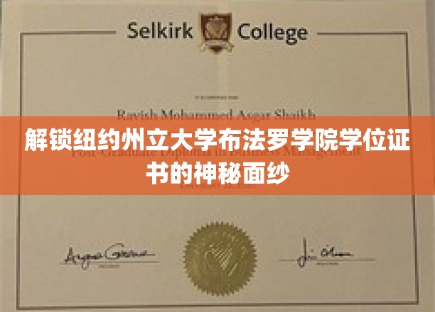 纽约州立大学布法罗学院学位证书的神秘面纱