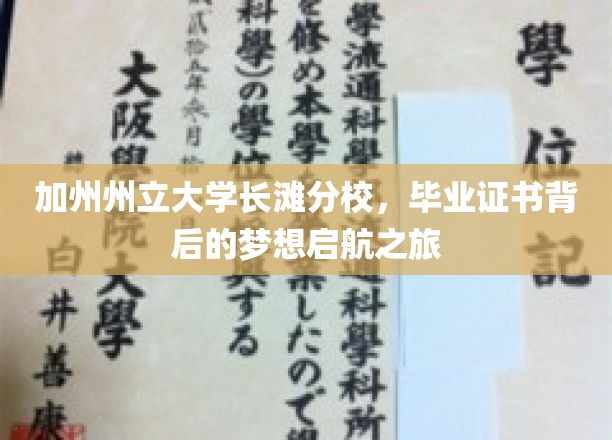 梦想起航，加州州立大学长滩分校毕业证书背后的故事之旅