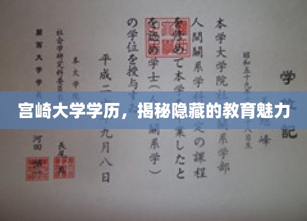 宫崎大学学历，揭示隐藏的教育魅力