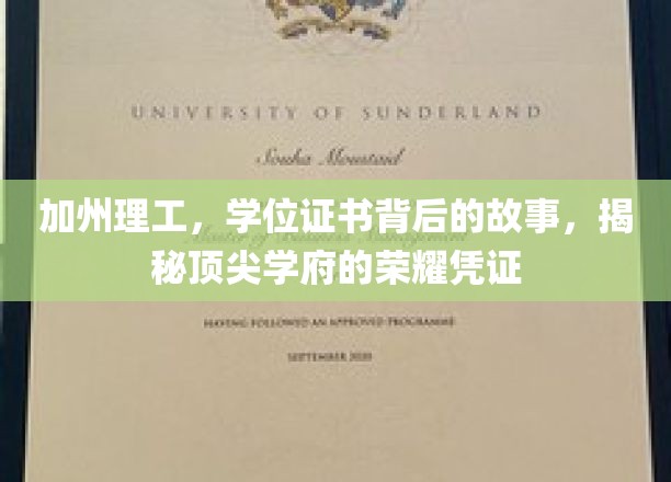 加州理工，学位证书背后的故事，揭秘顶尖学府的荣耀凭证