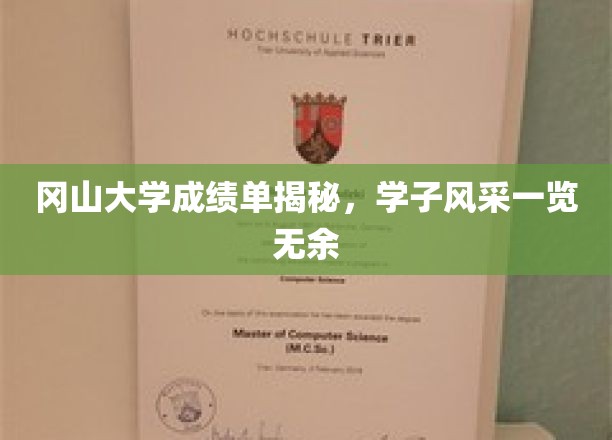 冈山大学成绩单揭秘，学子风采一览无余