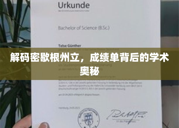 解码密歇根州立，成绩单背后的学术奥秘