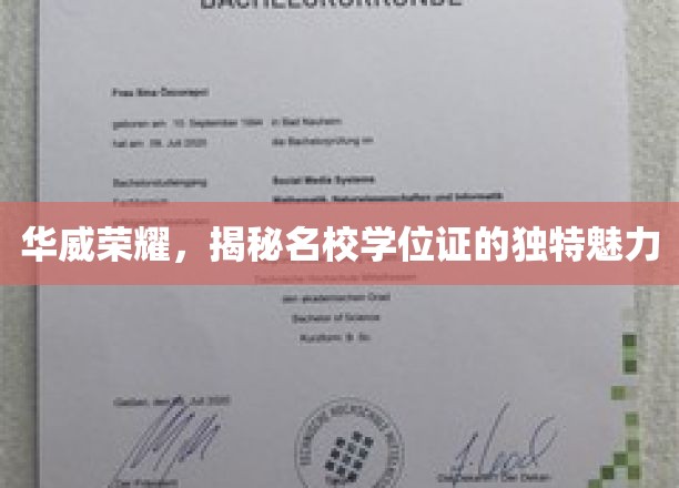 华威荣耀，探秘名校学位证的独特魅力