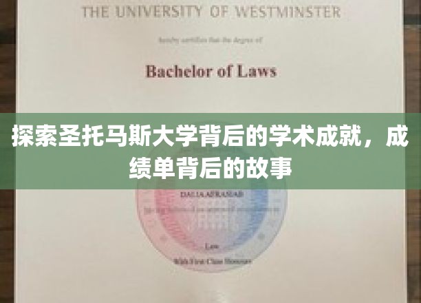 探索圣托马斯大学背后的学术成就，成绩单背后的故事