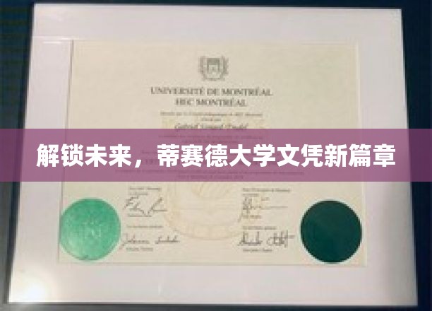 开启未来，蒂赛德大学文凭新篇章