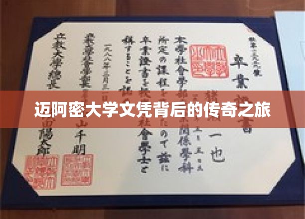 穿越梦想的迈阿密大学之旅，文凭背后的非凡征途