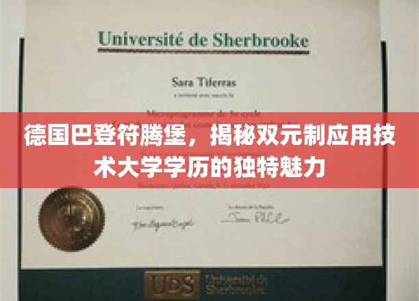 探寻德国巴登符腾堡，双元制技术大学学历的非凡魅力
