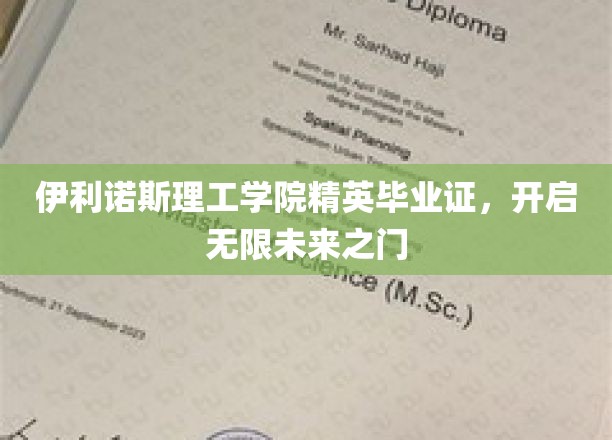 伊利诺斯理工学院精英通行证，解锁人生无限可能