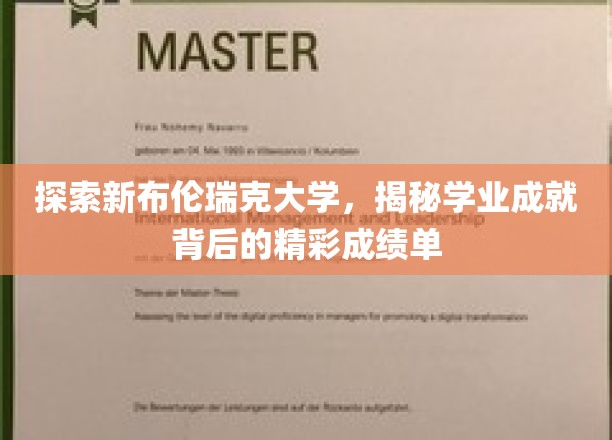 探索新布伦瑞克大学，揭秘学业成就背后的精彩成绩单