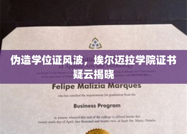伪造学位证风波，埃尔迈拉学院证书疑云揭晓