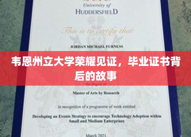 韦恩州立大学荣耀见证，毕业证书背后的故事