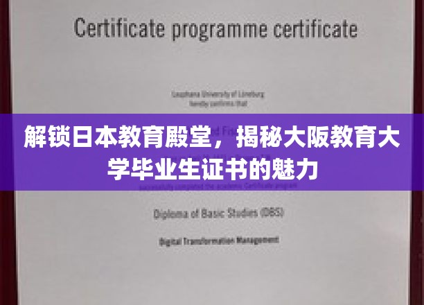 探秘大阪教育大学，毕业生证书背后的教育力量
