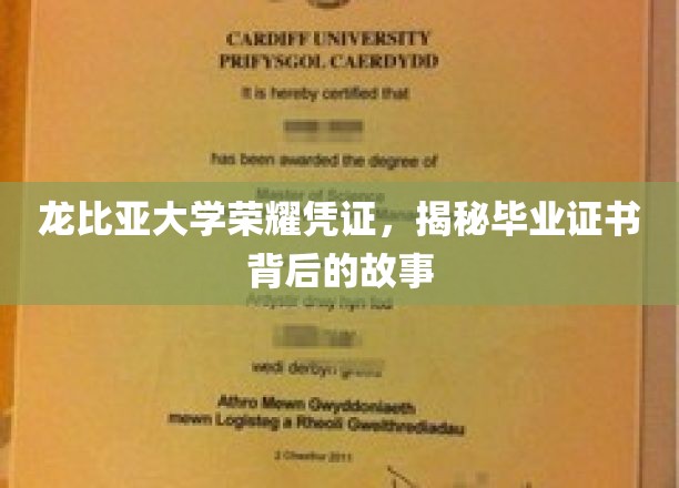 龙比亚荣耀证书，探寻毕业证书背后的传奇历程