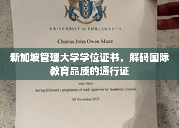 新加坡管理大学学位，开启全球职场精英之路的钥匙